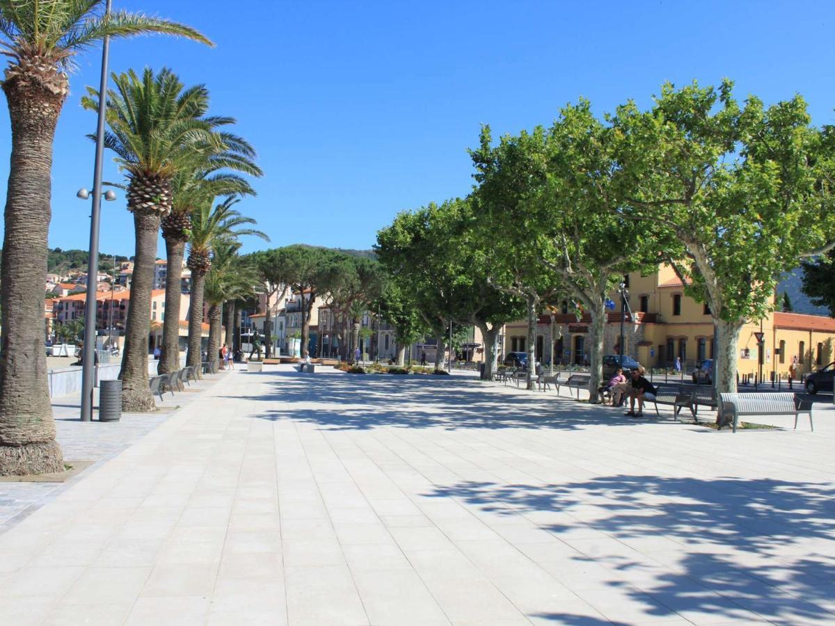 Appart T1 A 250M Plage, Clim, Wifi, Parking, Centre Banyuls - Fr-1-225C-75 Buitenkant foto
